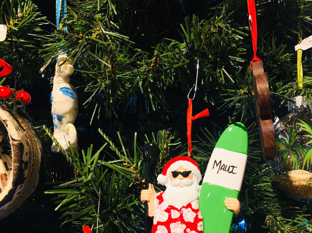 Whaler Inn Beach Club主图