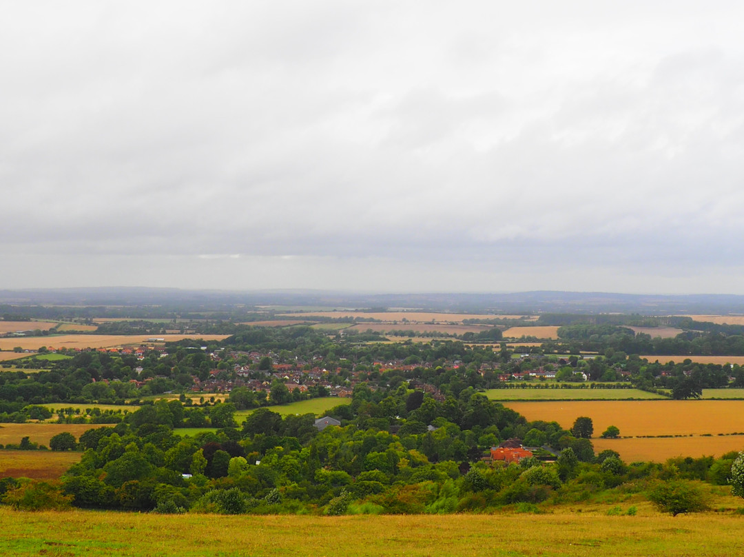 Watlington Hill景点图片