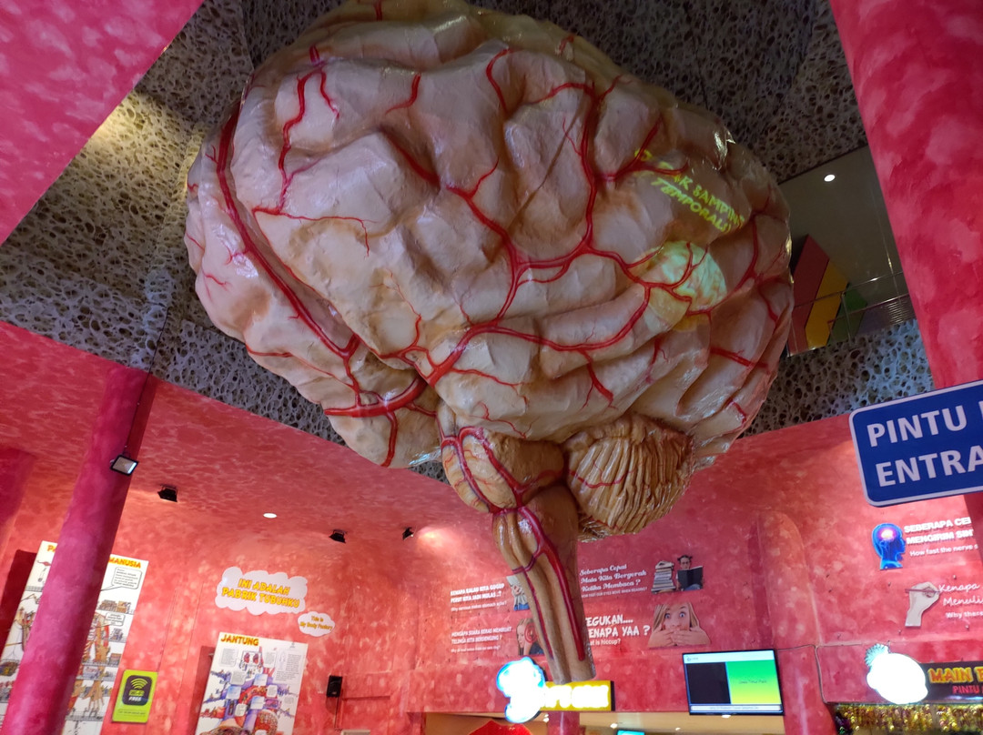 The Bagong Adventure Human Body Museum-巴图必去景点
