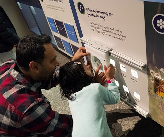 University of Michigan Museum of Natural History-安娜堡必去景点