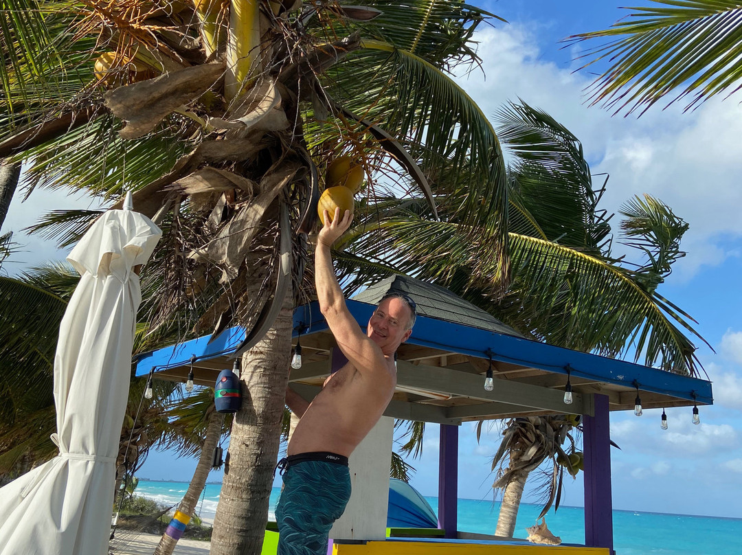 埃克苏马棕榈树酒店主图