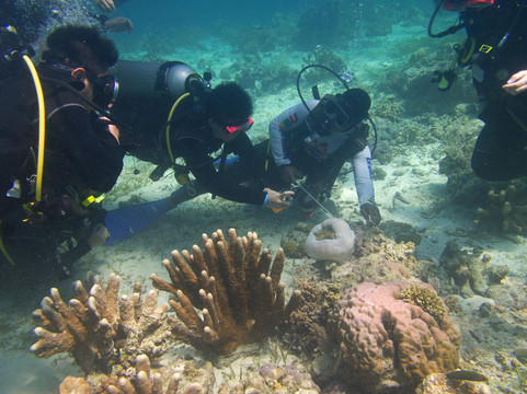 394DIVE-马丹岛必去景点