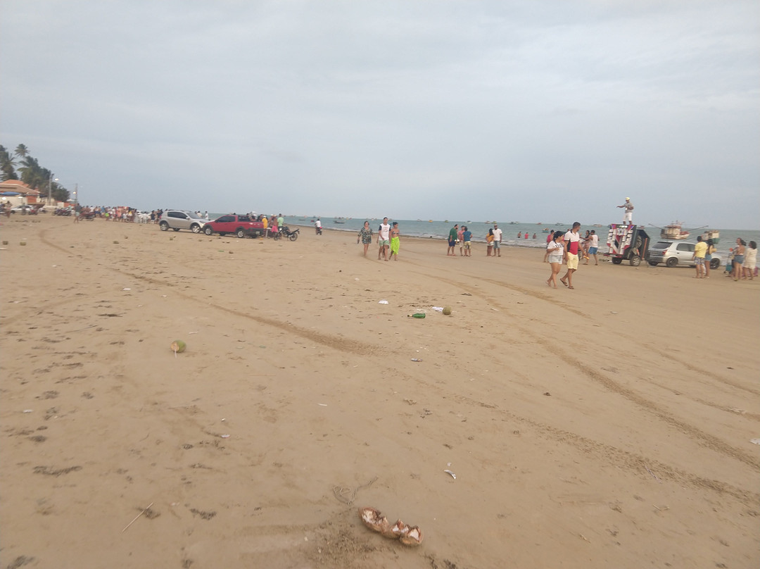Pontal do Peba Beach-Piacabucu必去景点