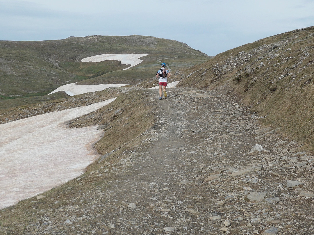 Summit Walk/Main Range Trail景点图片