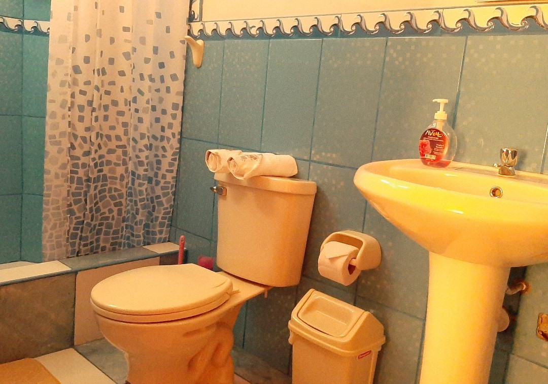 Marlon's House Nasca主图