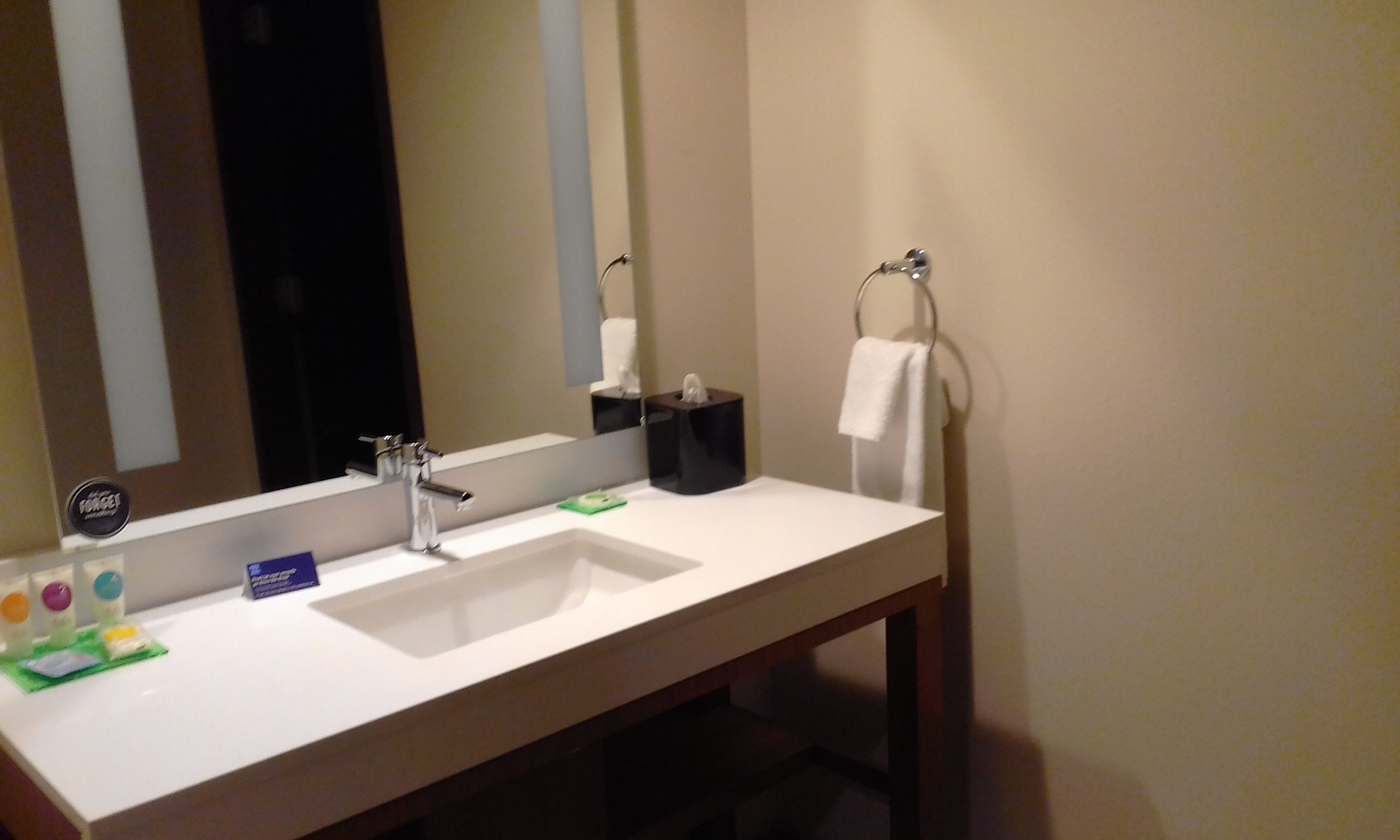 Hyatt Place St. George / Convention Center-浴室