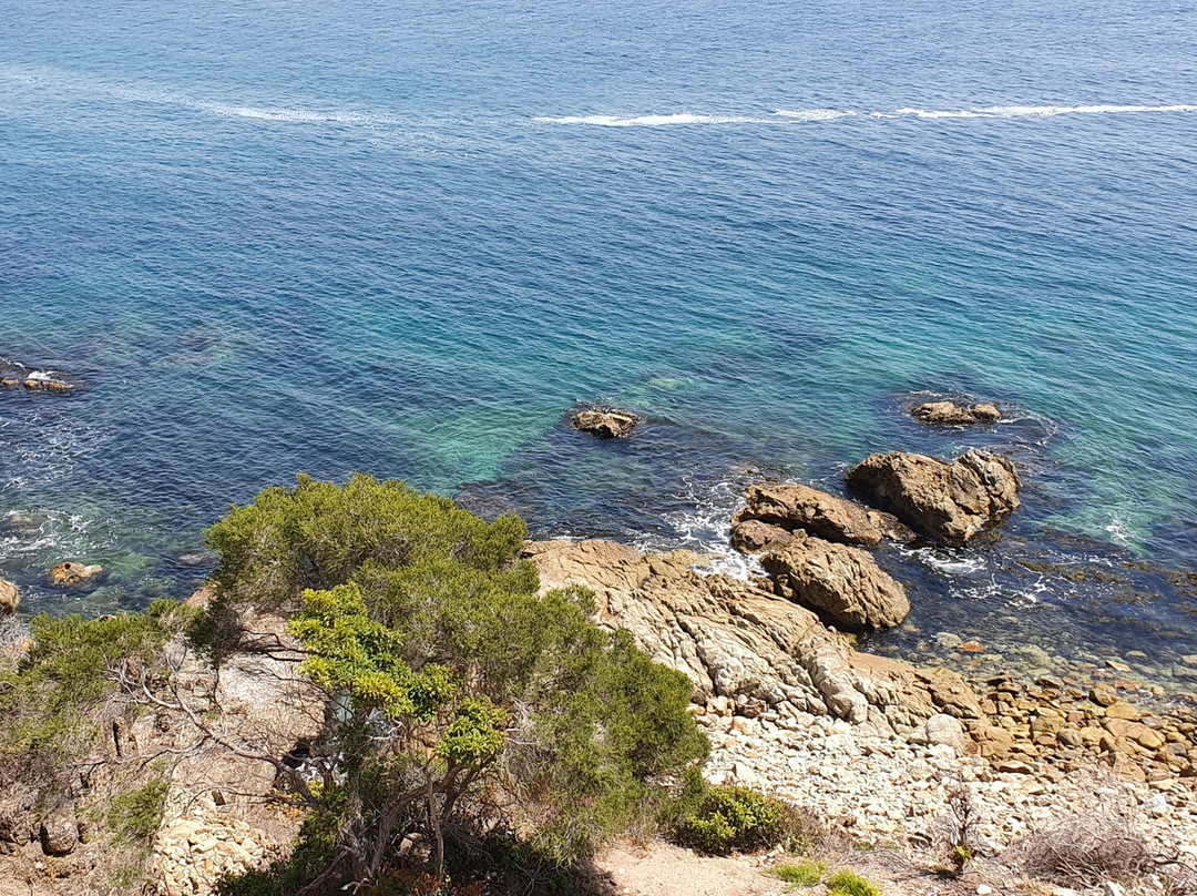 Tathra Memorial Gardens Walk景点图片