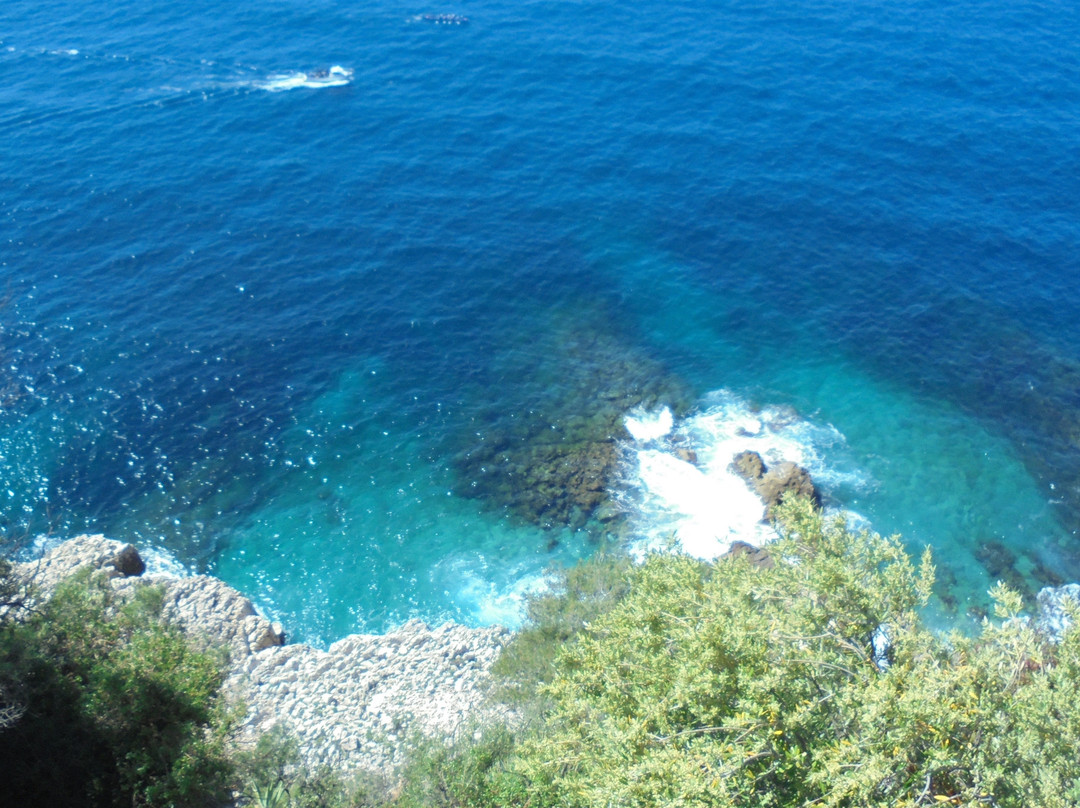 Memorial Princesse de Monaco景点图片