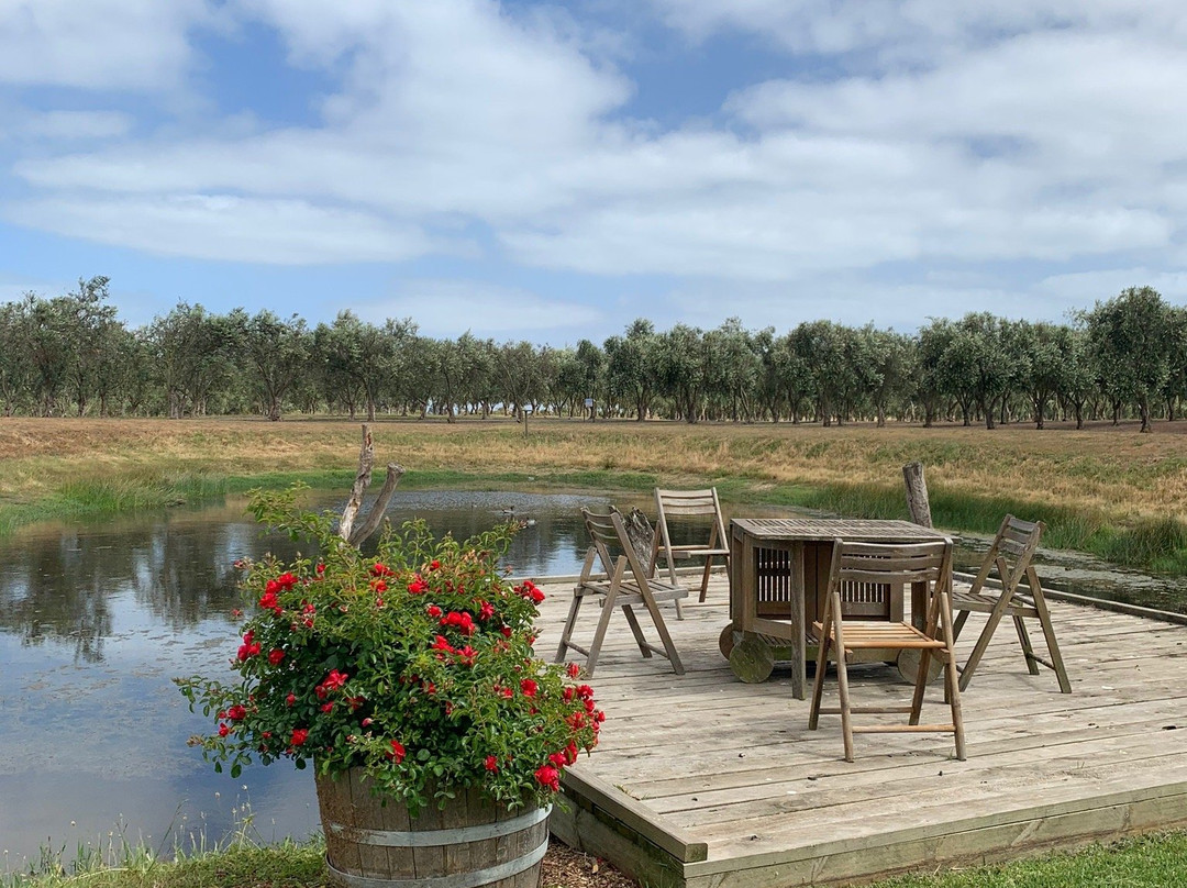 Manzanillo Grove-Drysdale必去景点