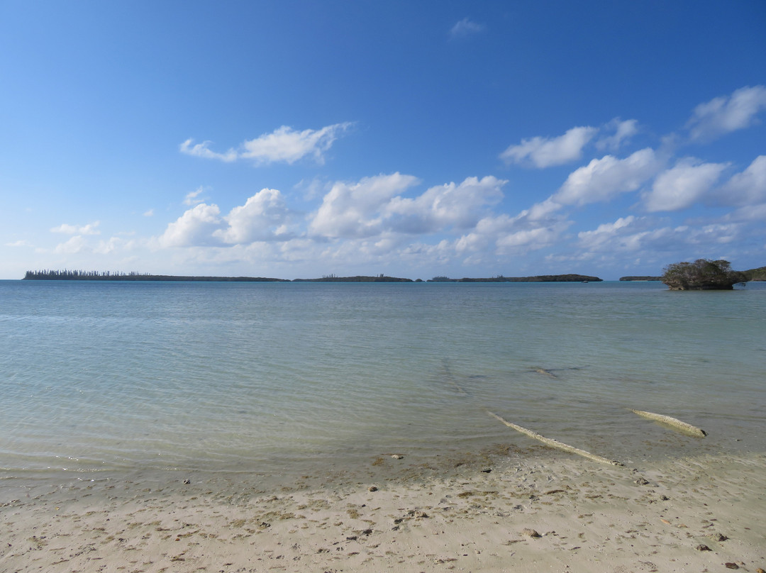 Baie de Gadji-Ile Des Pins必去景点