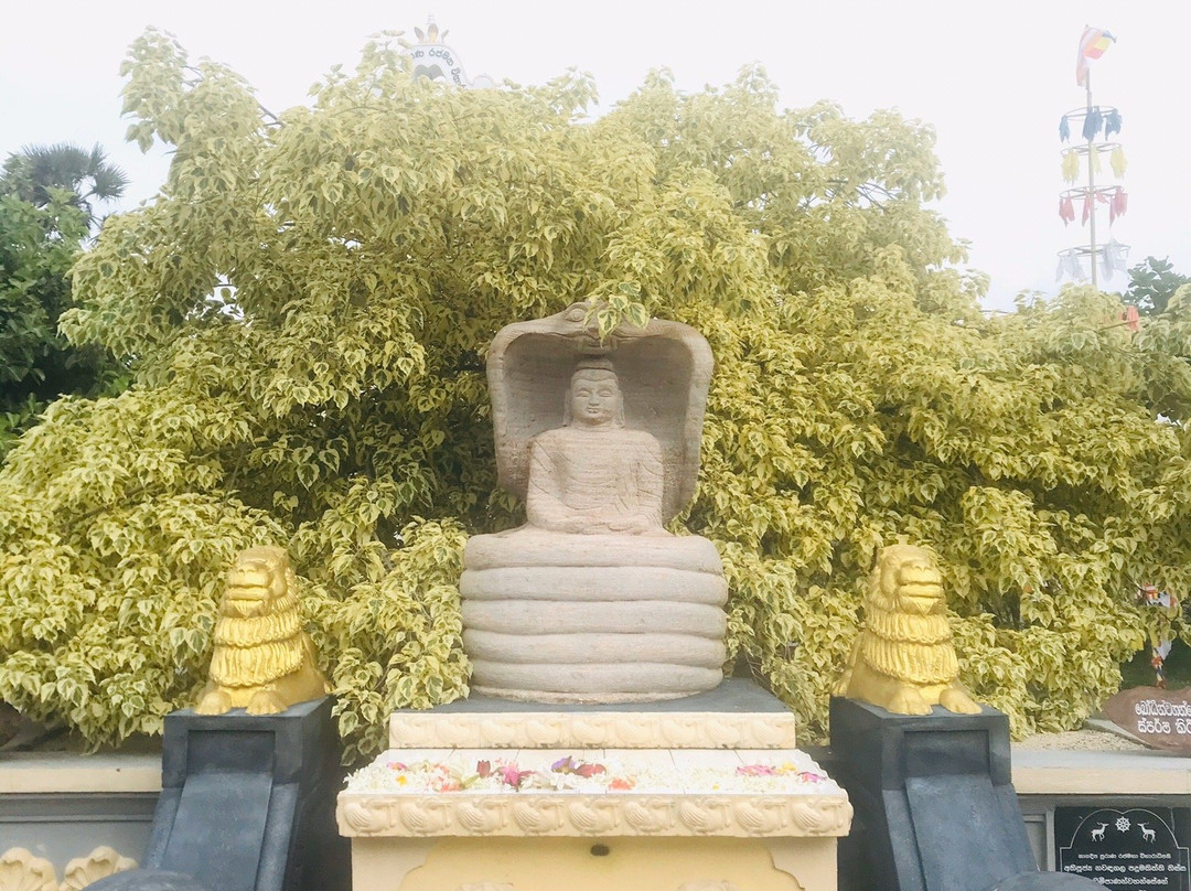 Nagadeepa Rajamaha Viharaya-贾夫纳必去景点