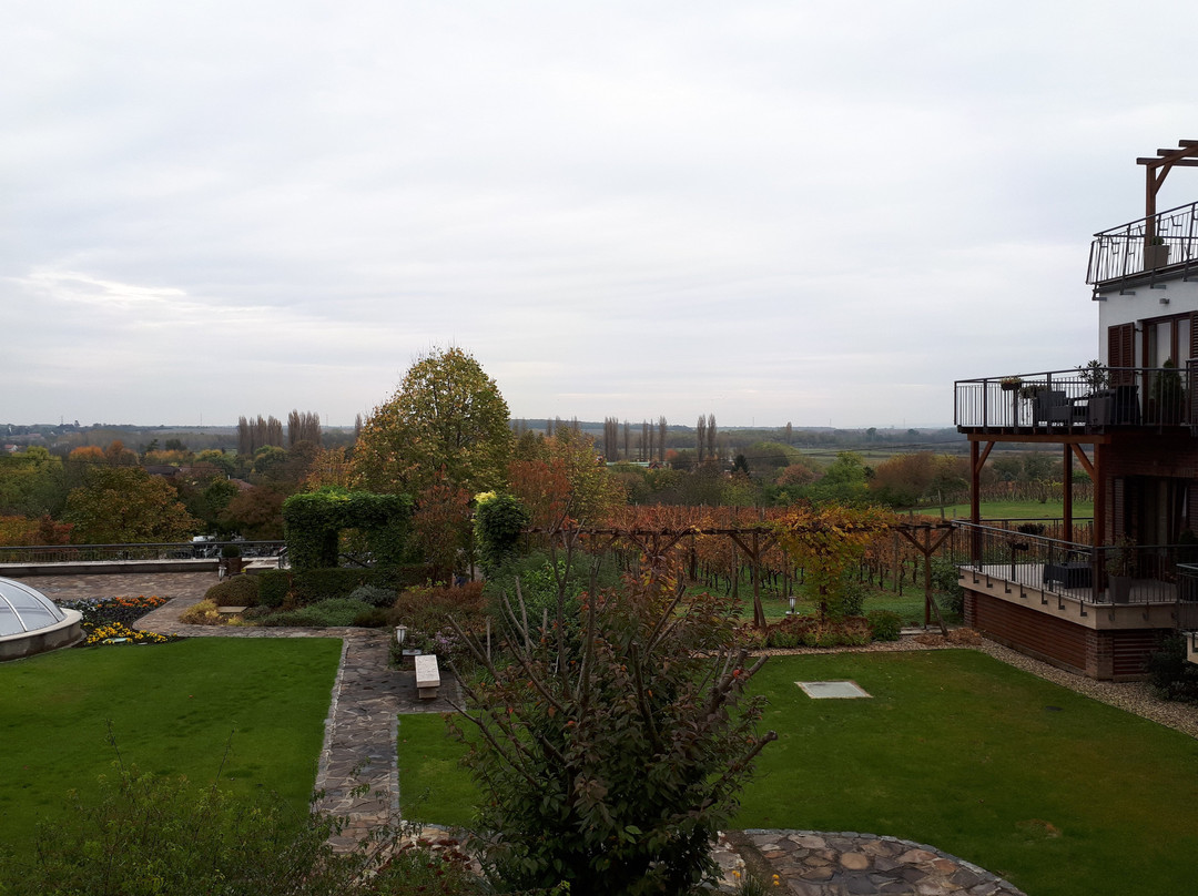 Crocus Gere Bor Hotel & Resort主图