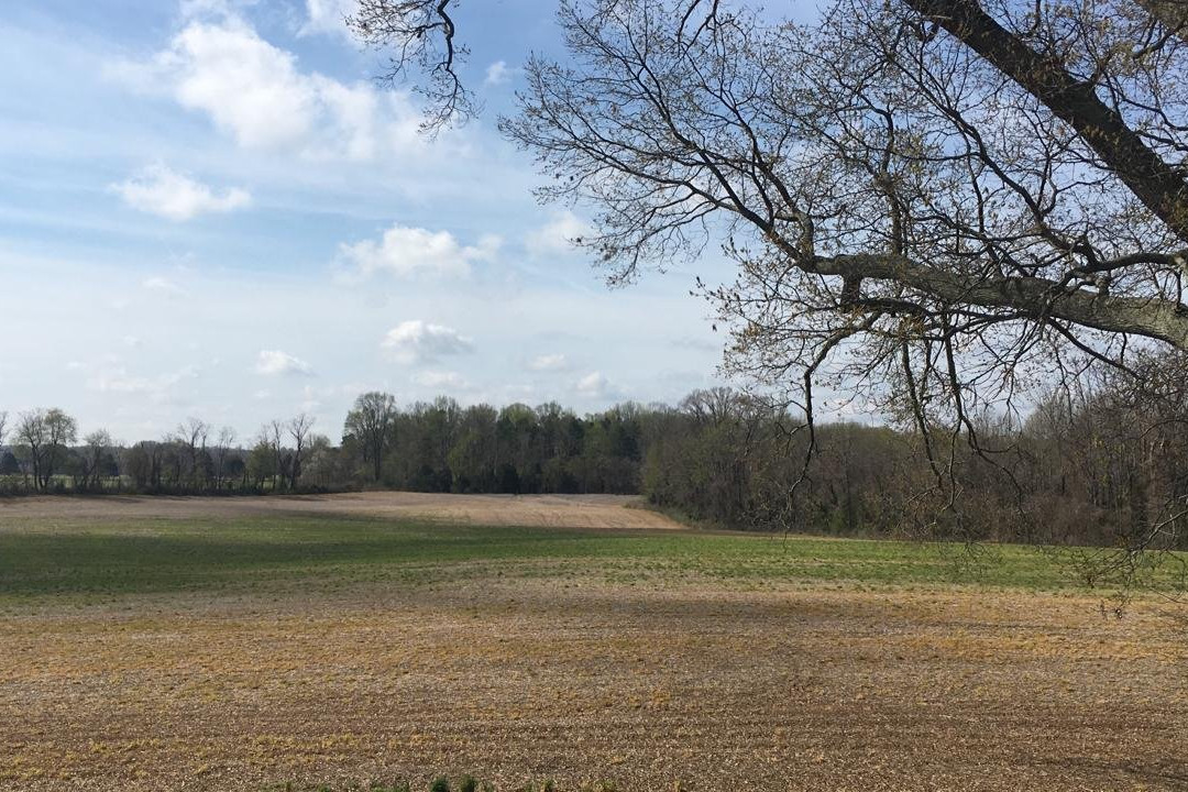 The Hague Winery-Hague必去景点