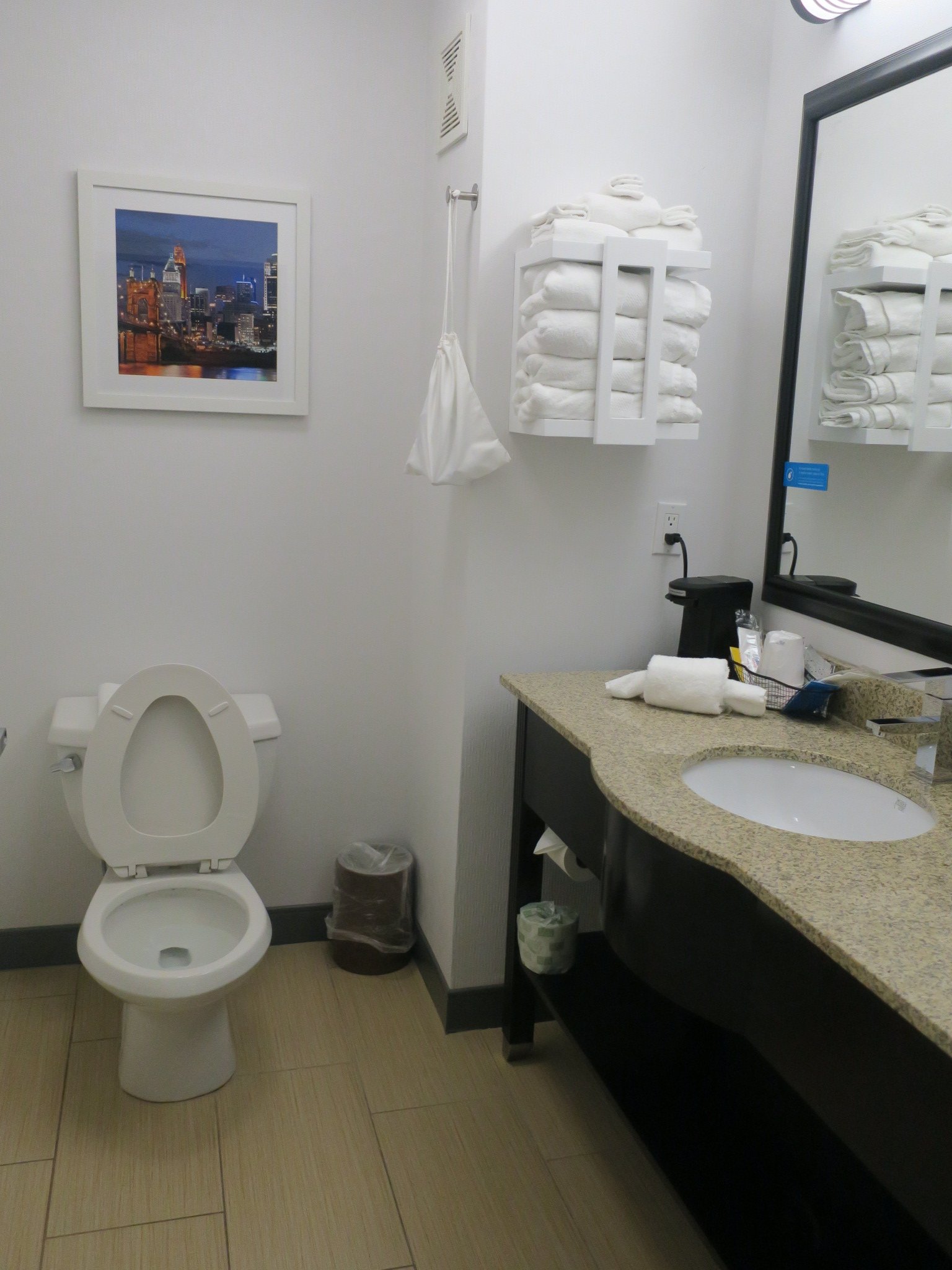 Hampton Inn Cincinnati Airport-North-浴室