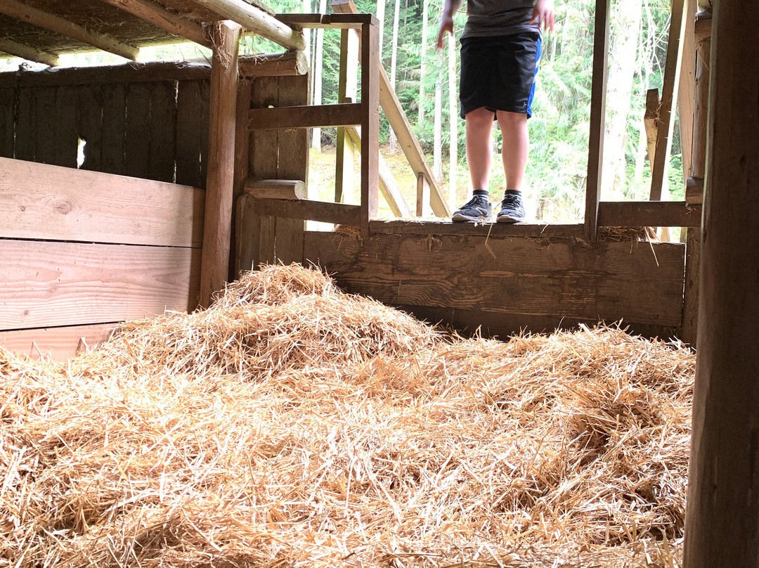 Pioneer Farm Museum & Ohop Indian Village-Eatonville必去景点
