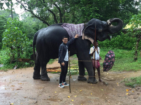 Sri Lankan Nisha Tours-蒂瑟默哈拉默必去景点