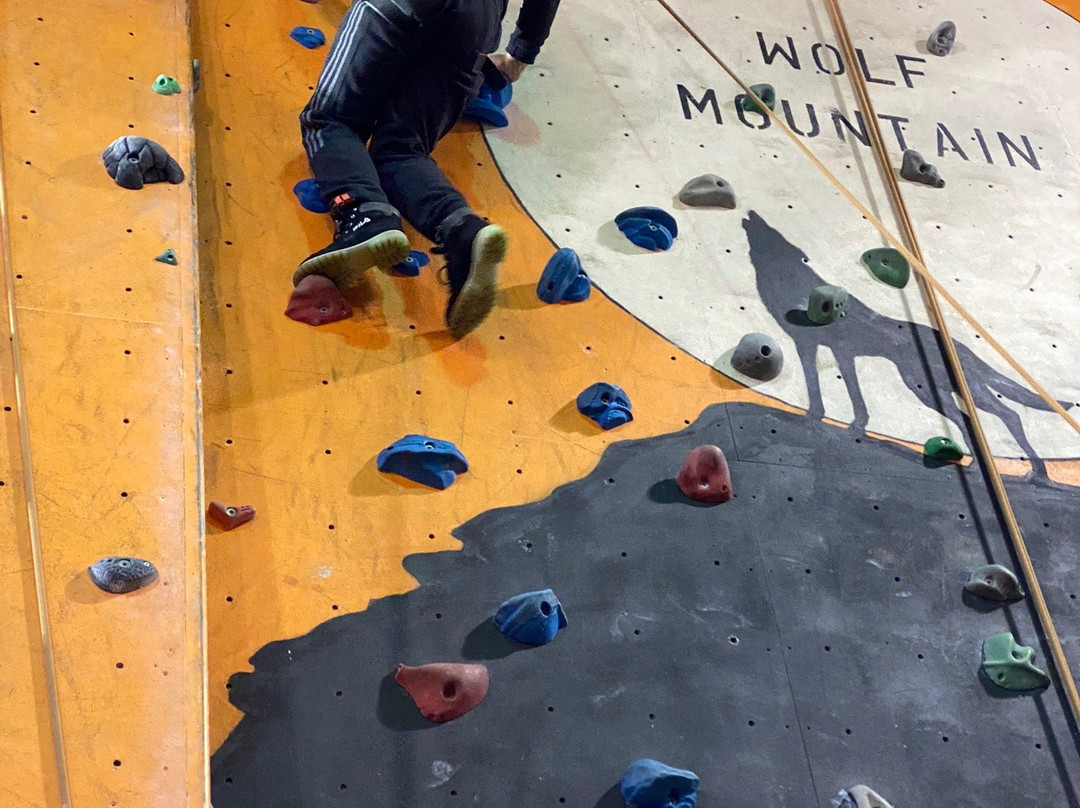 Wolf Mountain Indoor Climbing and Caving Centre-沃尔夫汉普顿必去景点