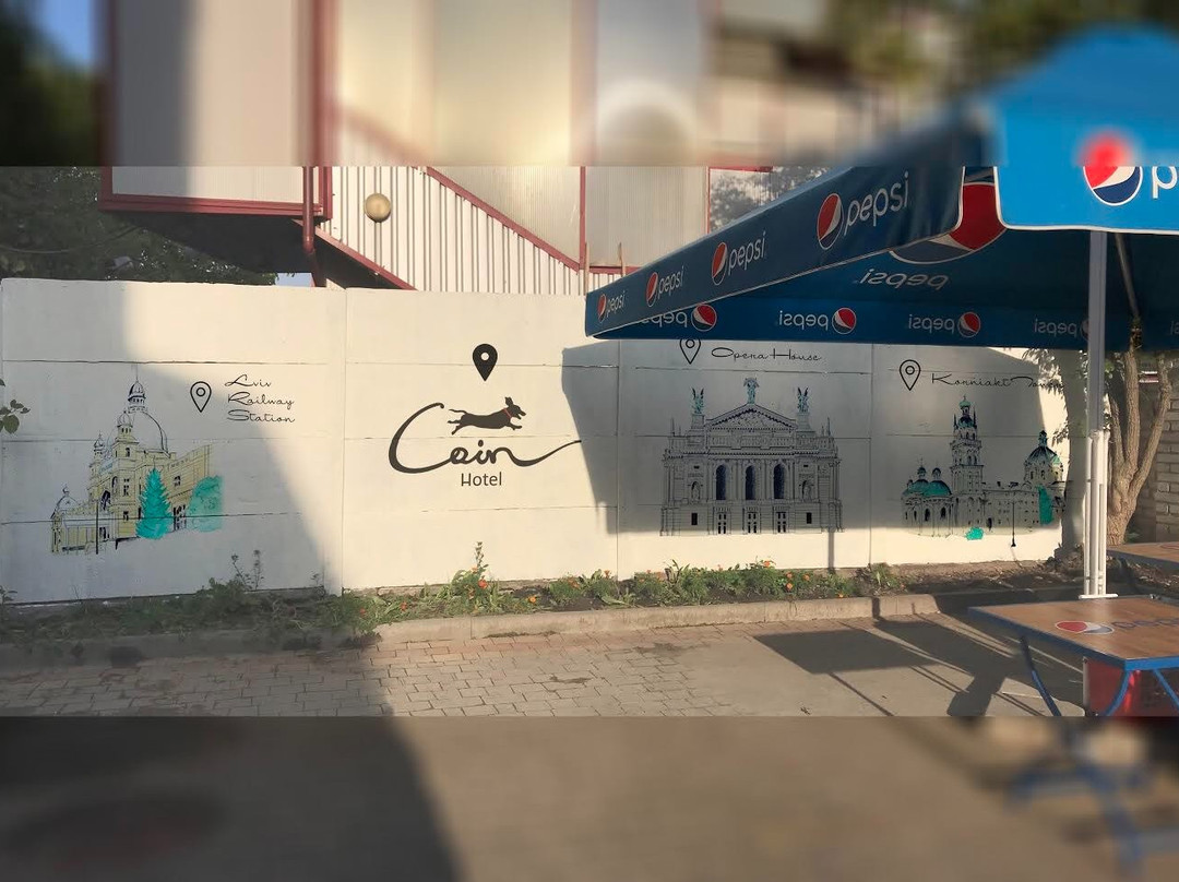 Coin主图