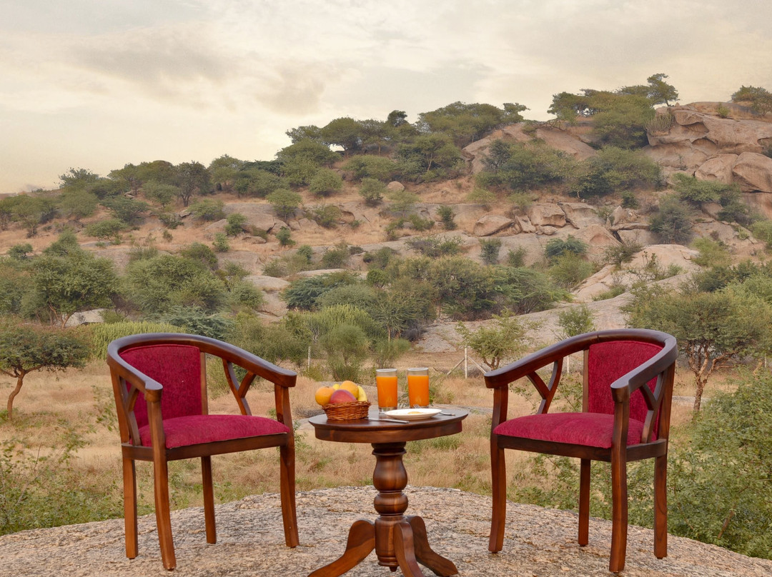 Jawai Leopard Safari Lodge主图