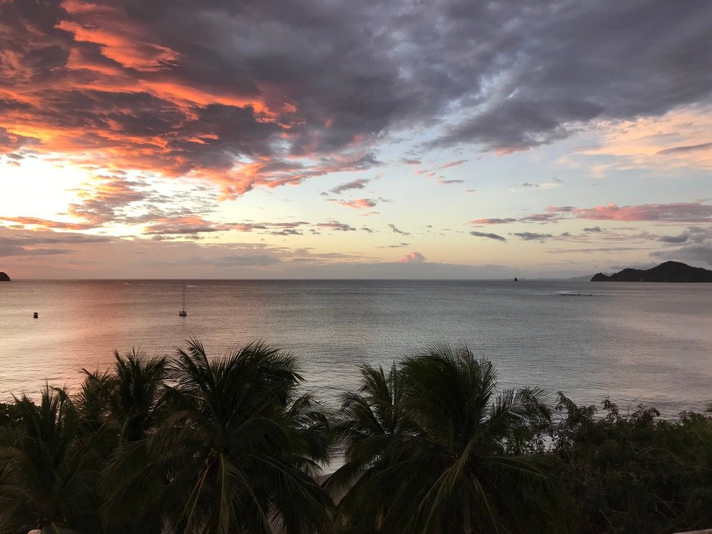 La Gaviota Tropical主图