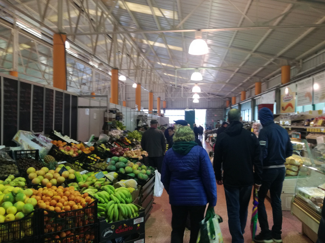 Mercado Agricola Vega de San Mateo景点图片