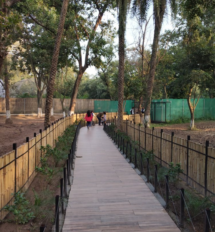 ChhattBir Zoo景点图片
