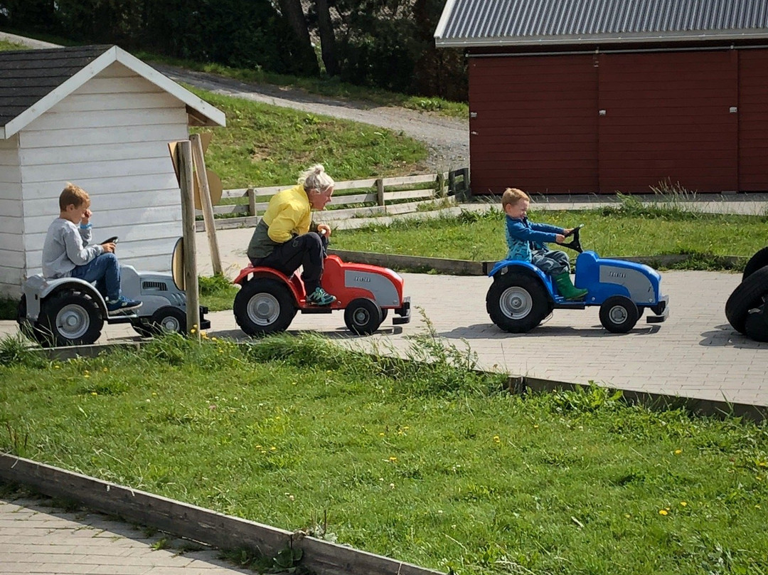 Foldvik Familypark景点图片