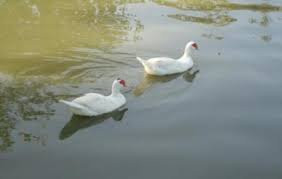 Sarthana Nature Park景点图片