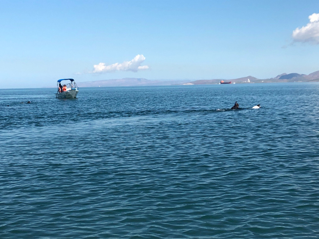 El Duque Adventures-拉巴斯必去景点