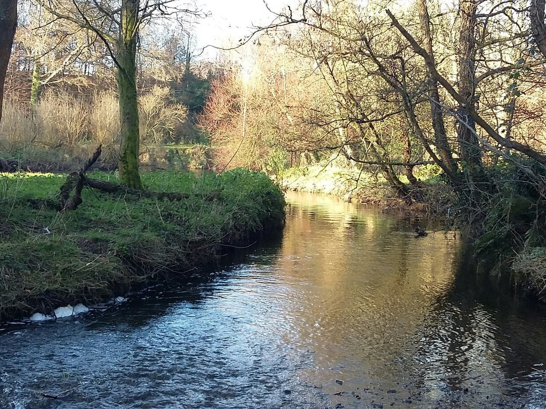 Minnowburn景点图片