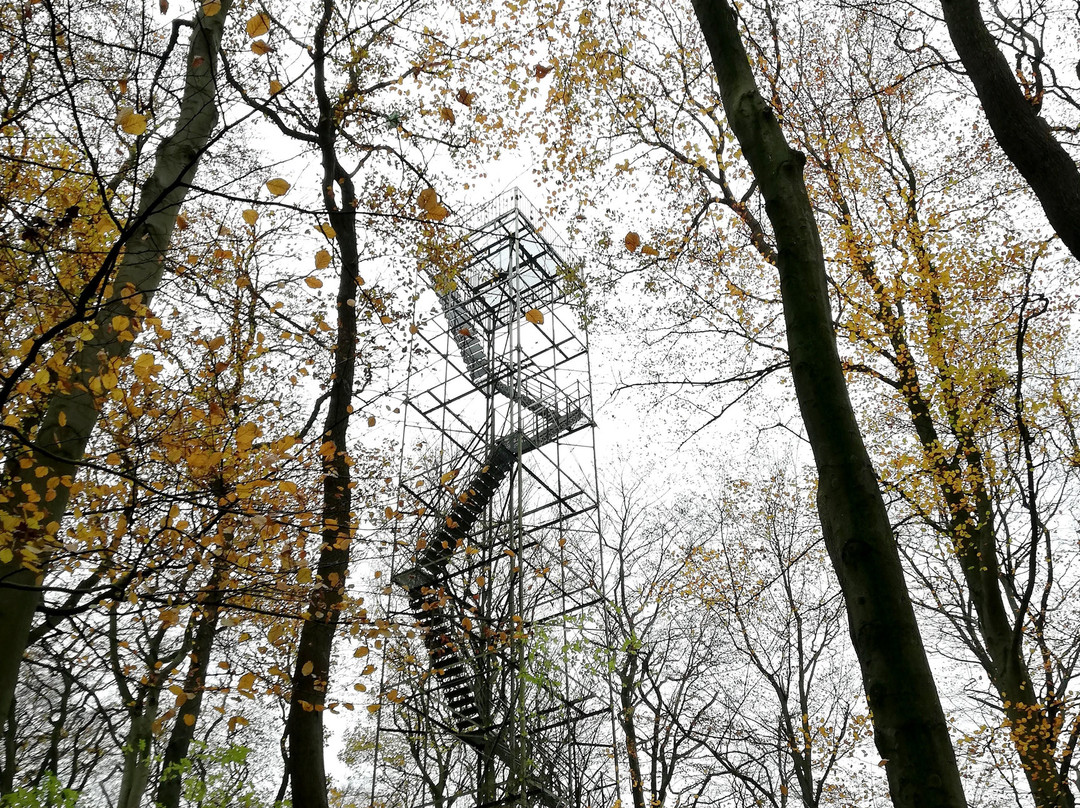Aussichtsturm Kaiserberg景点图片