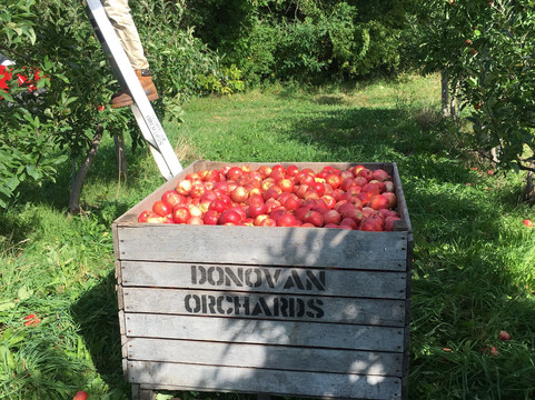 BlackBird Cider Works-Barker必去景点