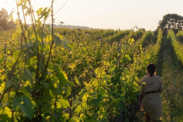 Cantine Merinum-维耶斯泰必去景点