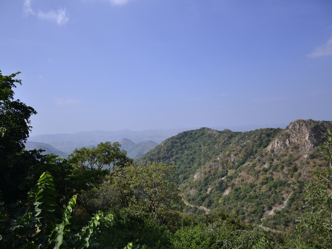 Sajjangarh Wildlife Sanctuary景点图片