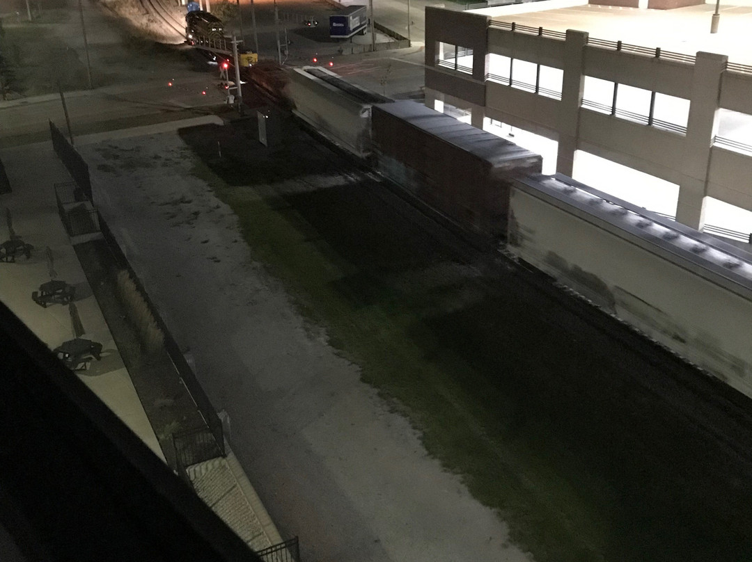 Element Moline主图