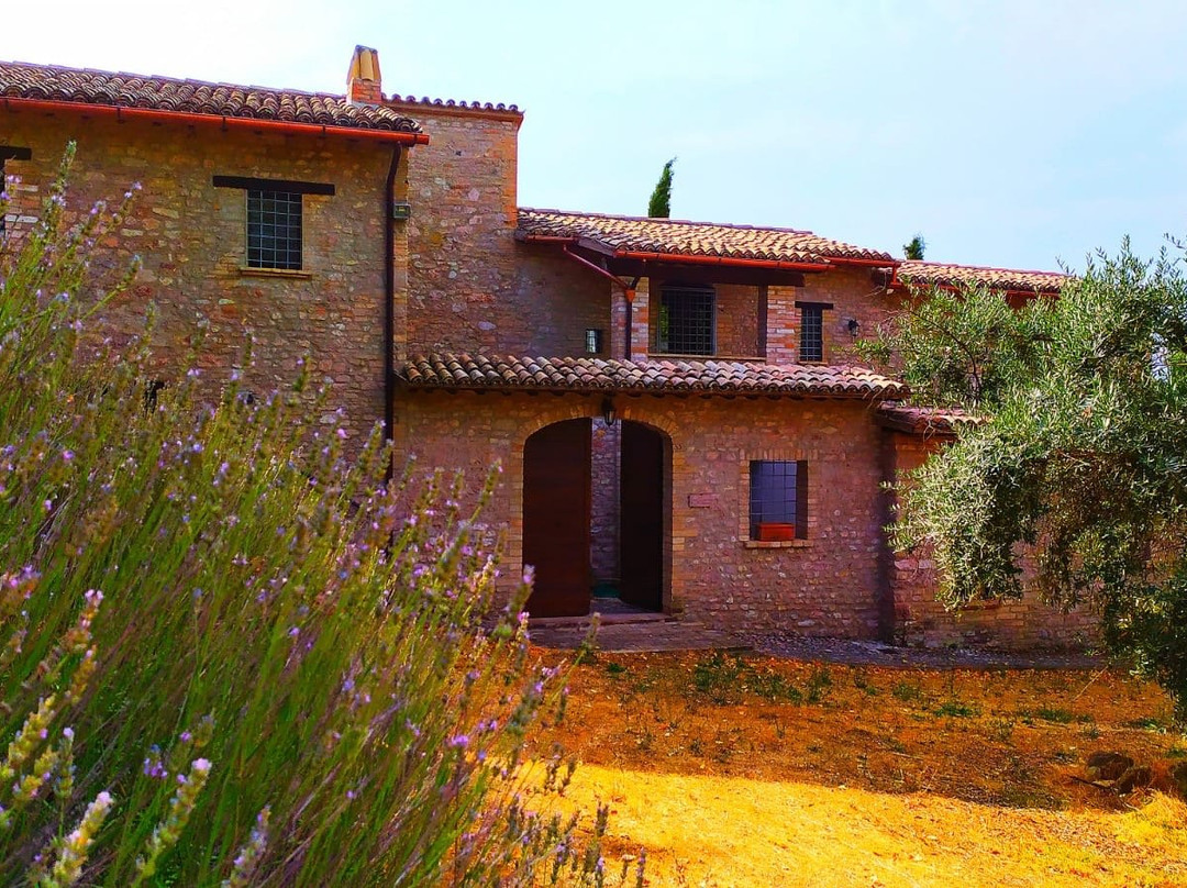 B&B La Campanella
