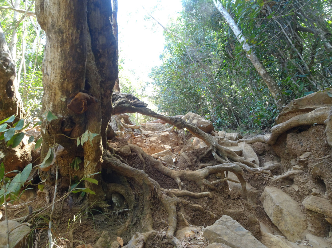 Mont Choungui-Chirongui必去景点