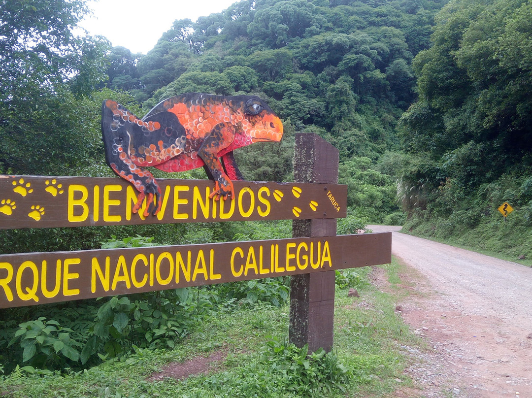 Calilegua National Park-Calilegua必去景点