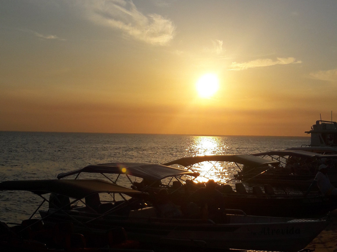 Ponta do Cururu-Alter do Chao必去景点