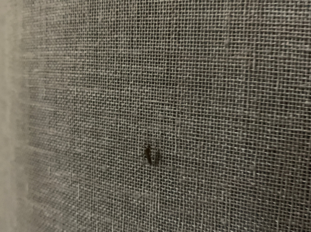 纽卡斯尔旅馆主图