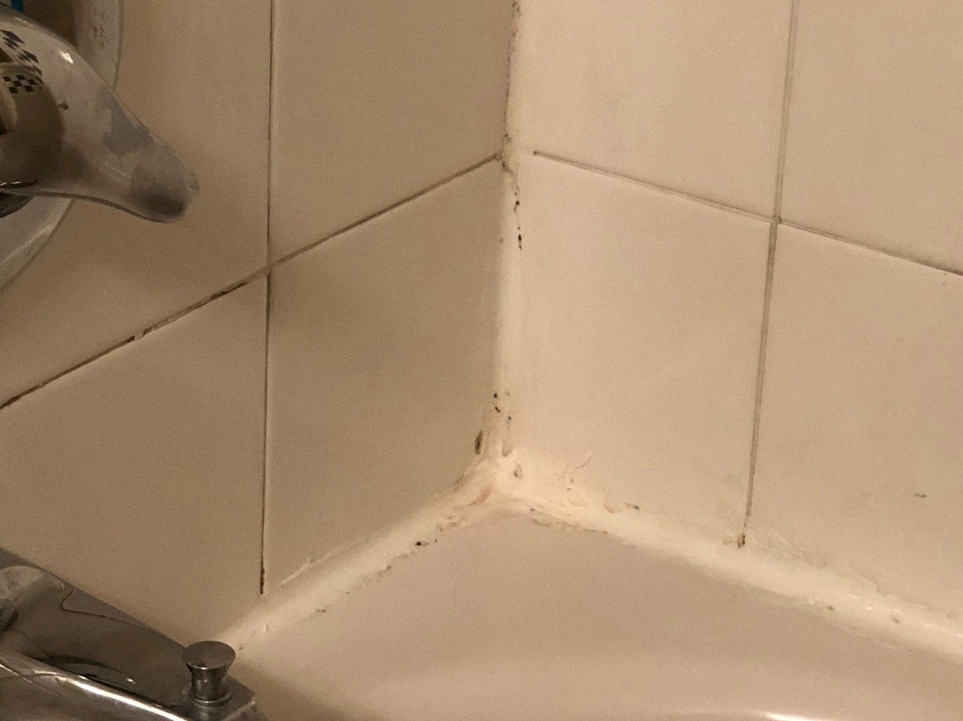 Quality Inn & Suites主图