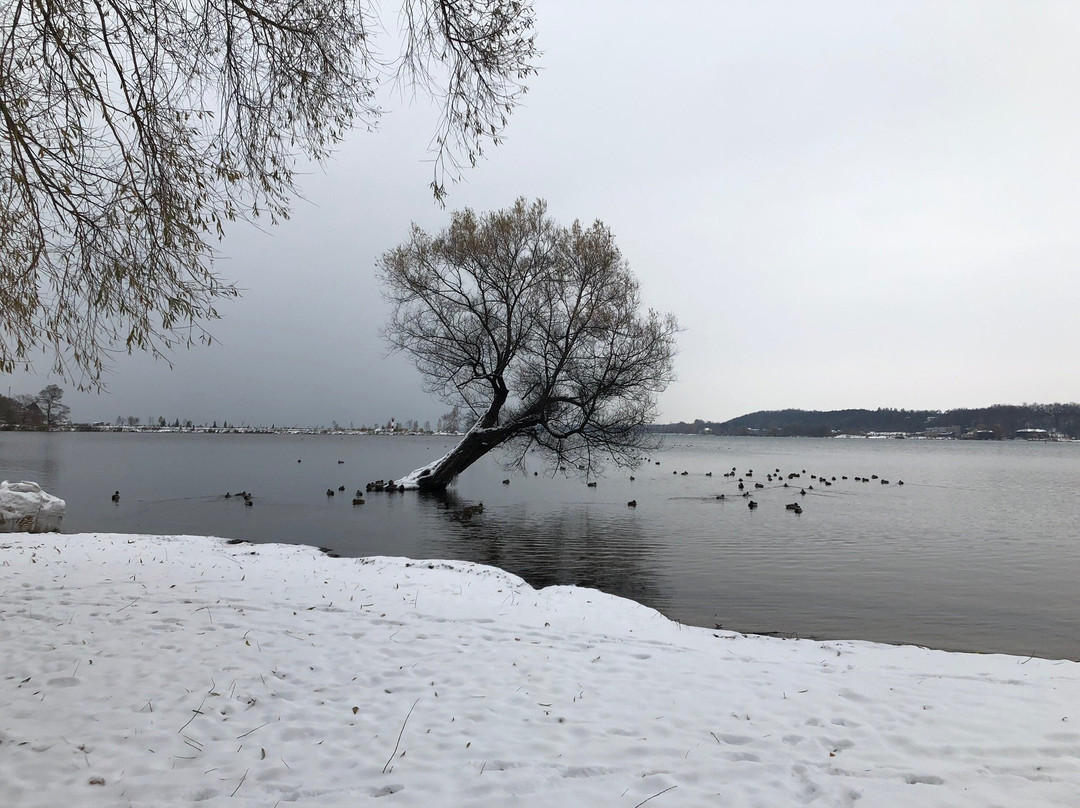 Kelso Beach Park-Owen Sound必去景点
