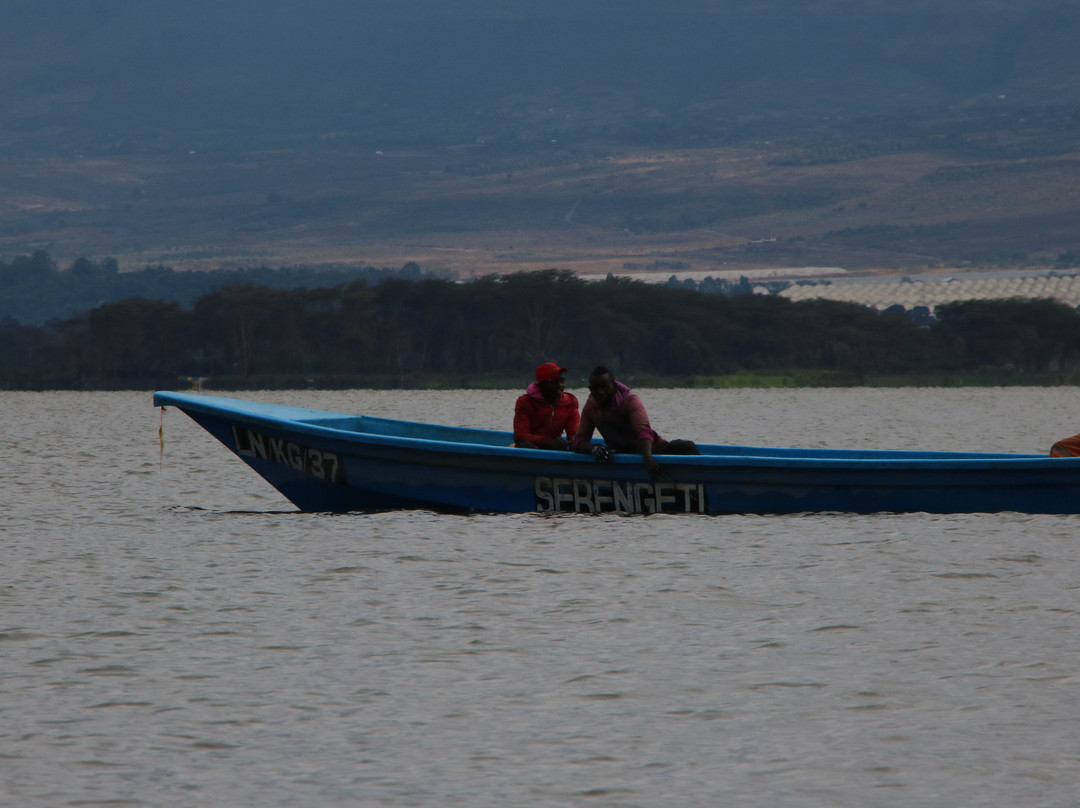 Lake Naivasha景点图片
