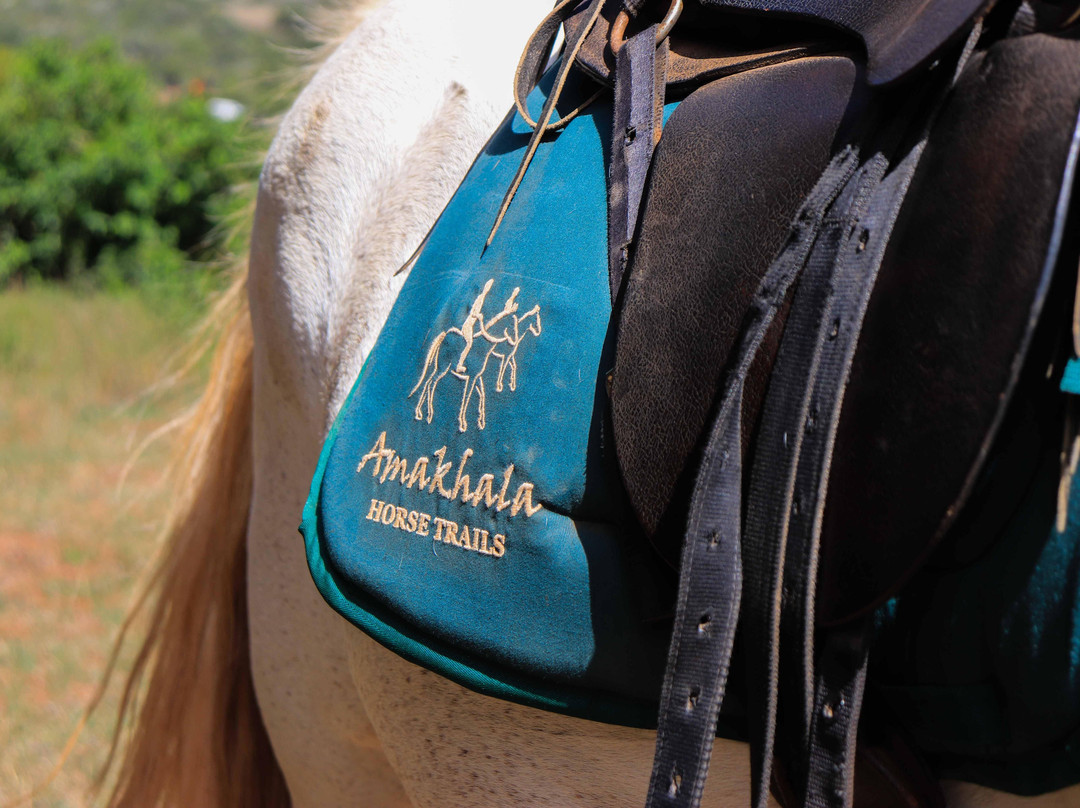 Amakhala Horse Trails-伊丽莎白港必去景点