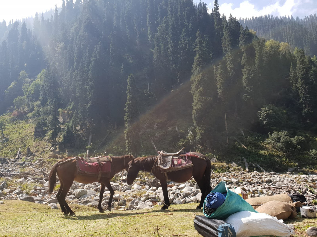 The Kashmir Trekking Company-Ganderbal District必去景点