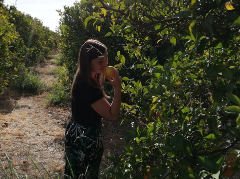 Algarve Food Experience-Algarvia必去景点