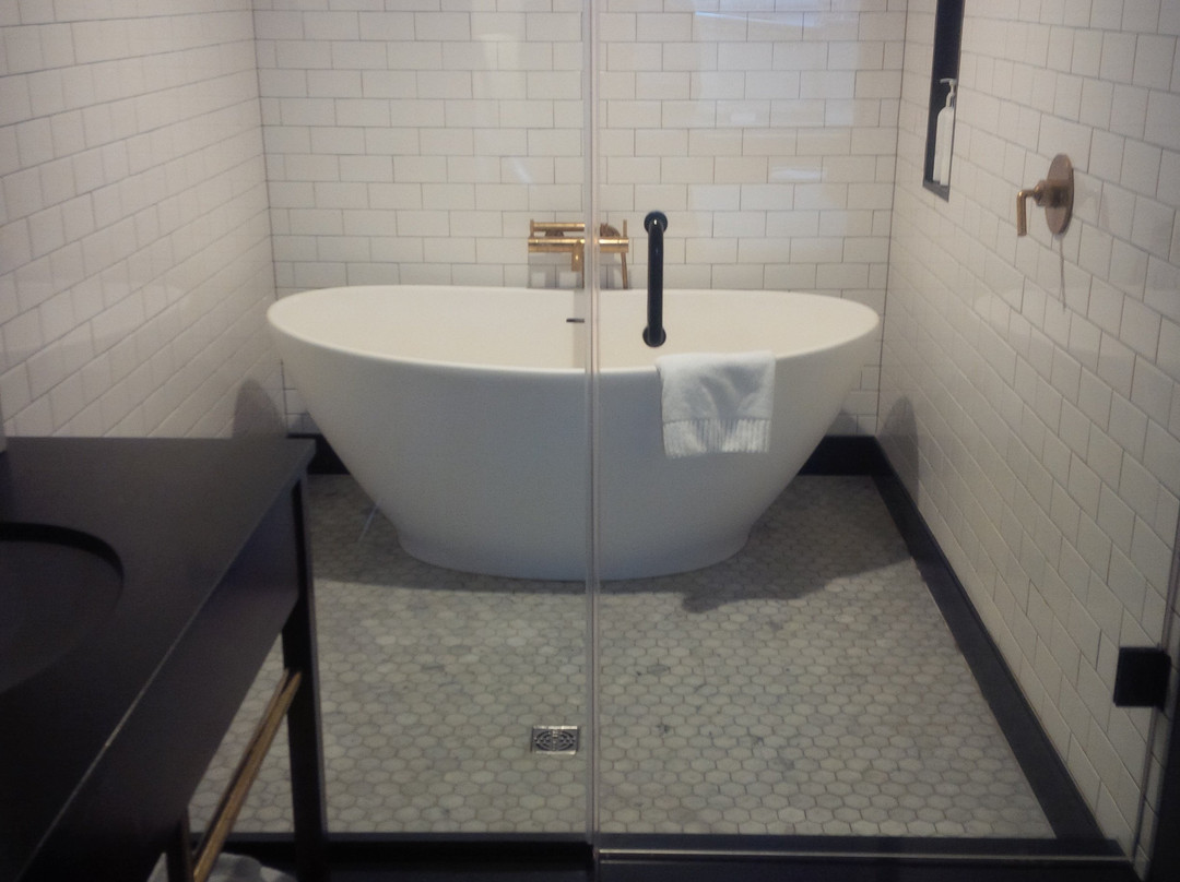 金普顿旅行者主图