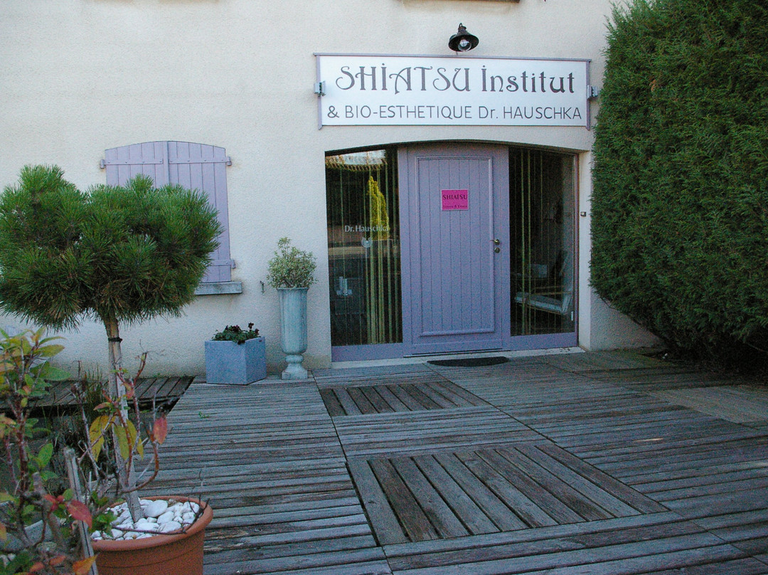 Shiatsu Institut-阿尔比必去景点
