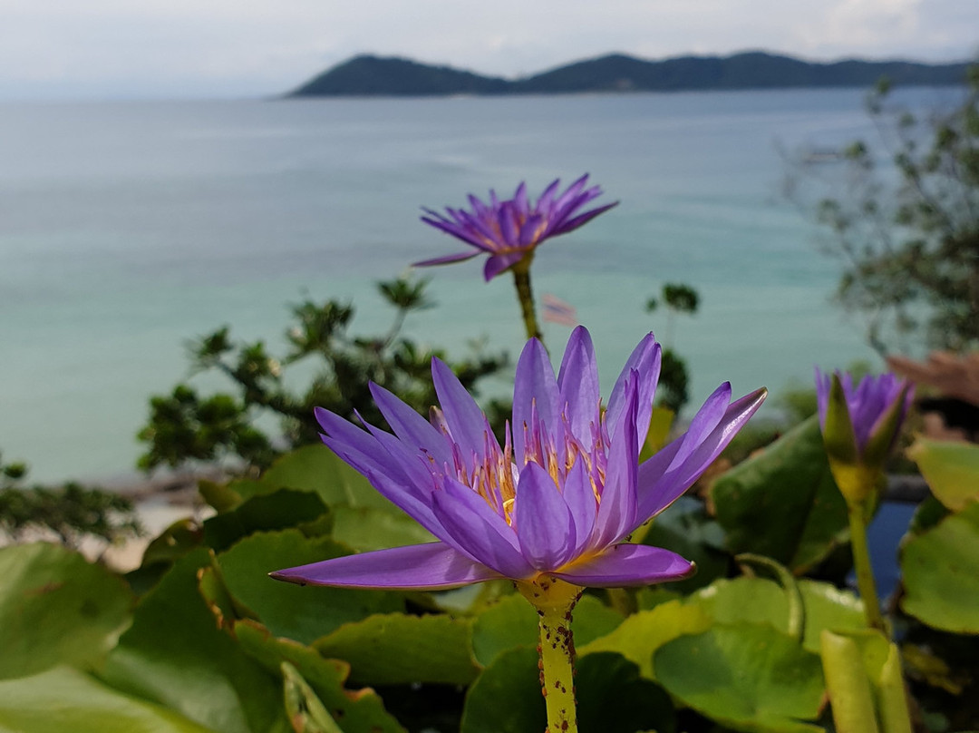 拉维曼温泉度假村主图