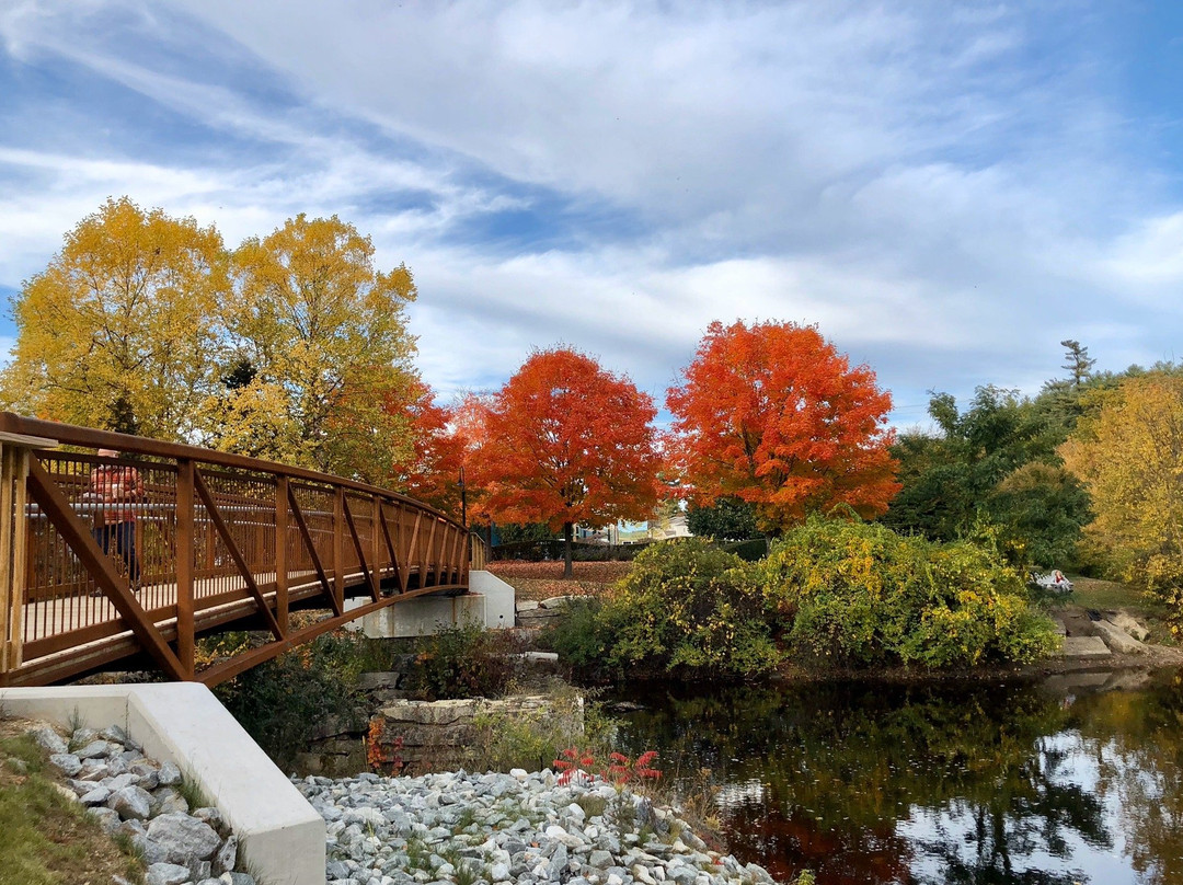 惠特科姆豪斯布里奇住宿加早餐酒店主图